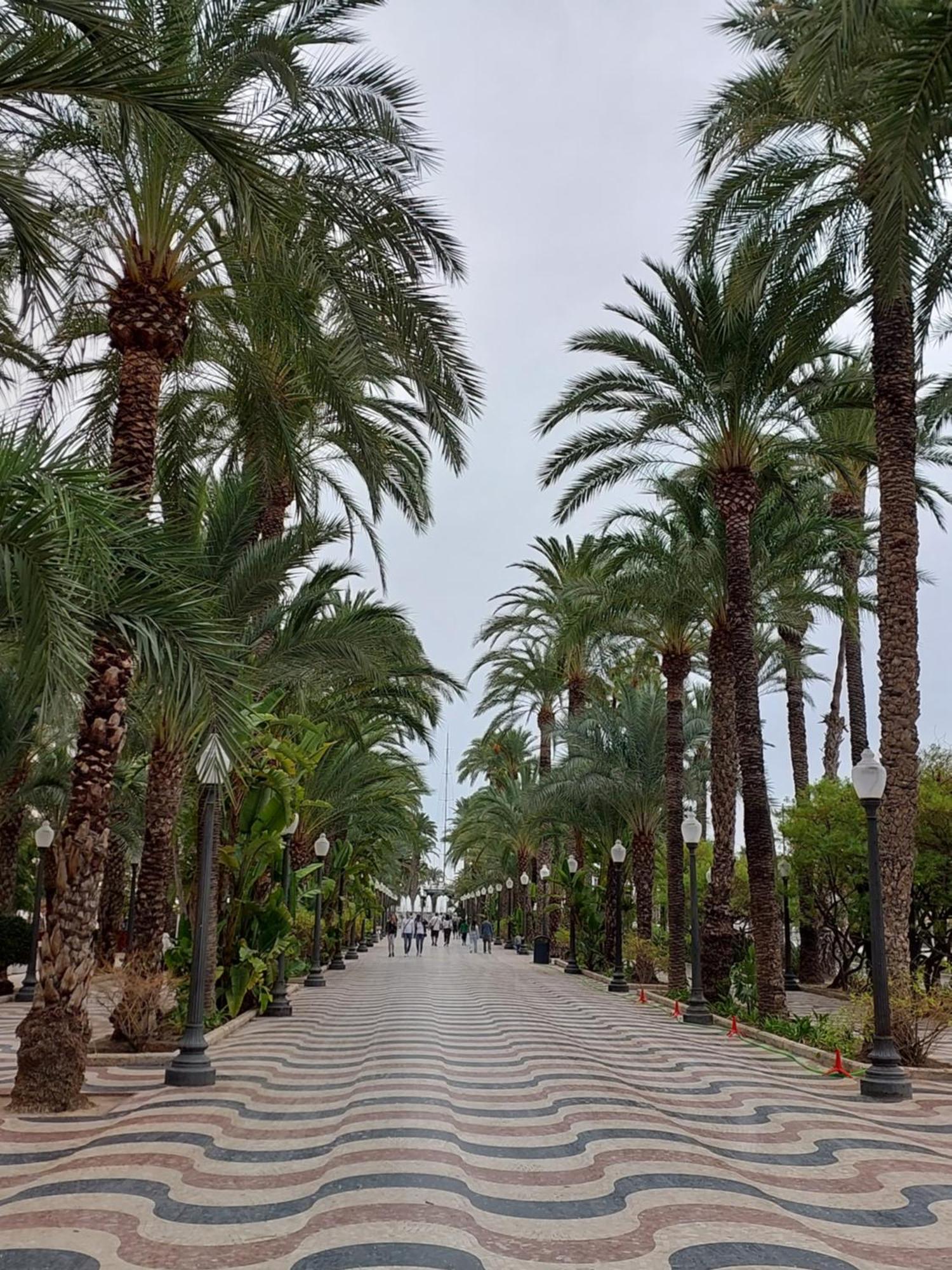 Cesar Apartment Alicante Luaran gambar
